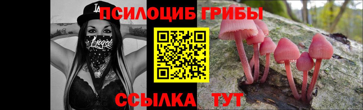 Галлюциногенные грибы мицелий Вязники